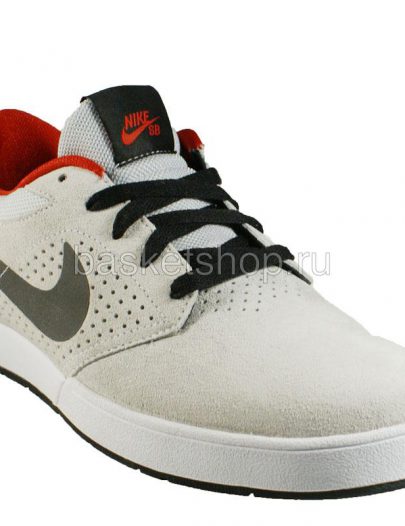 Paul Rodriguez 5 Nike SB