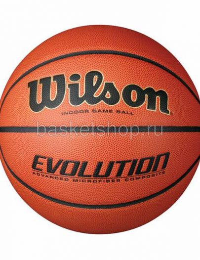 Мяч Evolution №7 Wilson